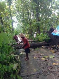 Hujan Angin Hebohkan Warga, Warga dan Relawan Bahu Membahu Tangani Dampak Bencana