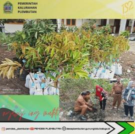 110 Bibit Buah dari PT Bank BRI 