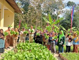 KWT Ngudi Makmur-Dusun Galih Panen Raya Sawi di Kebun Gizi Keluarga Berkualitas 