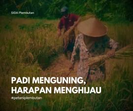 Petani Kecamatan Kunjang sedang menjual cabai kunjang